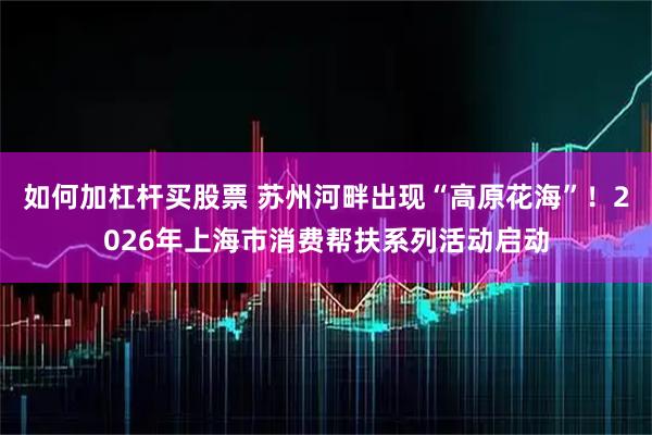 如何加杠杆买股票 苏州河畔出现“高原花海”！2026年上海市消费帮扶系列活动启动