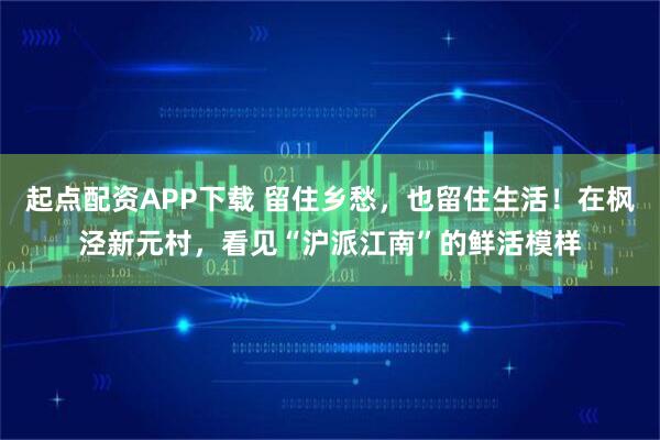 起点配资APP下载 留住乡愁，也留住生活！在枫泾新元村，看见“沪派江南”的鲜活模样