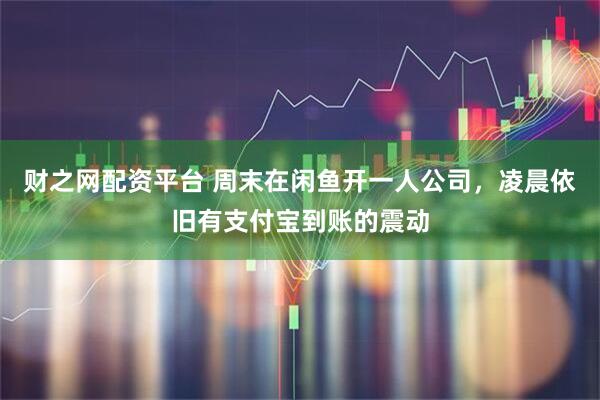 财之网配资平台 周末在闲鱼开一人公司,凌晨依旧有支付宝到账的震动